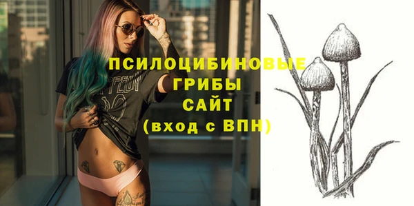 амф Беломорск