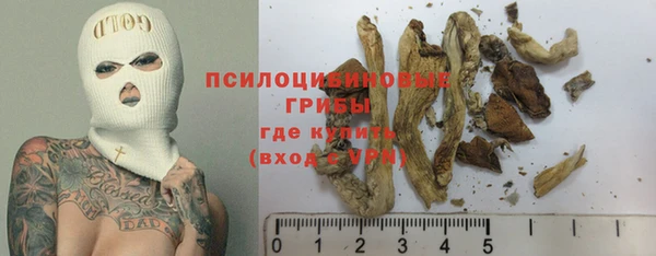 амф Беломорск