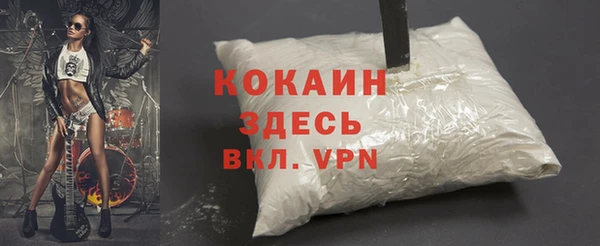 индика Белоозёрский