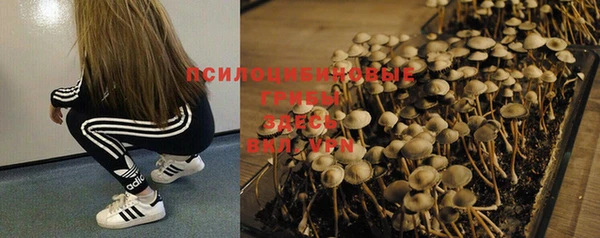 экстази Белокуриха