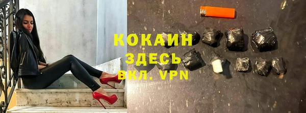 индика Белоозёрский