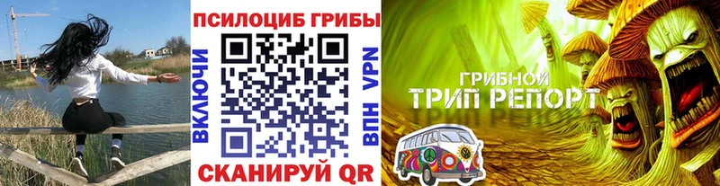 Галлюциногенные грибы ЛСД  Фатеж 